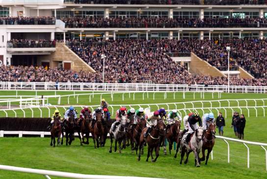 Horses racing at Cheltenham Racecourse