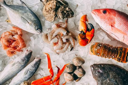 Photograph showing a variety of seafood on ice