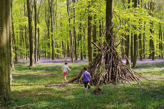 Discover Winnie‑the‑Pooh Inspired Spots Across Sussex