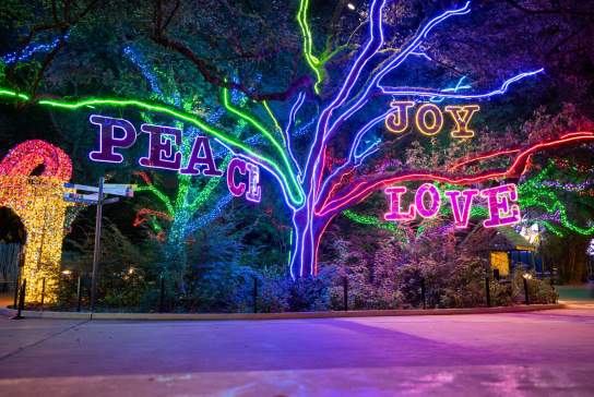 Dónde disfrutar las luces navideñas en Houston