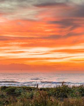 sunset-beach-grassy