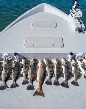 bay fishing-guide