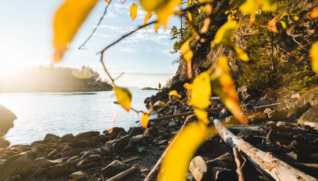 7 Ways to Experience Fall on the Sunshine Coast