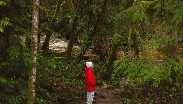 8 Natural Wonders of the Sunshine Coast