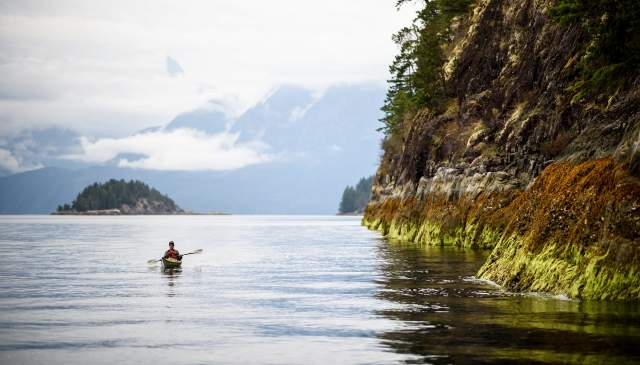 Explore the Waters of the Sunshine Coast with these Operators