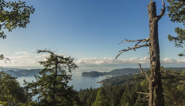 Explore the Trails: Soames Hill