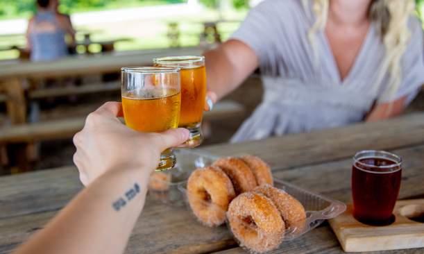 Two people cheersing small glasses of cider together with a half a dozen donuts in a container in between them on the wooden table