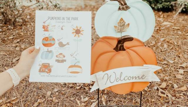 Pumpkins in the Park
