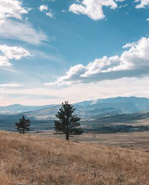 Hiking