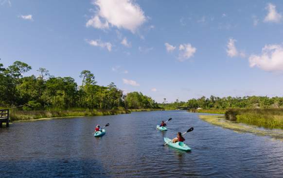 Three kayakers in river at Pascagoula River Audubon Center