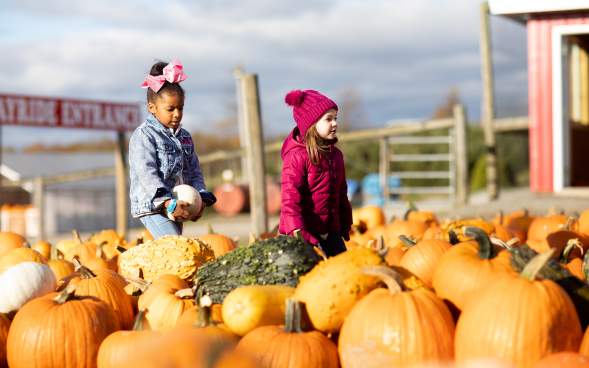 Roba Family Farms