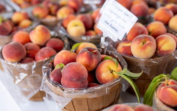 Co-Op Farmers Market in Scranton, PA