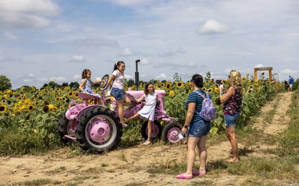 Lakeland Orchard & Cidery in Scott Township, PA