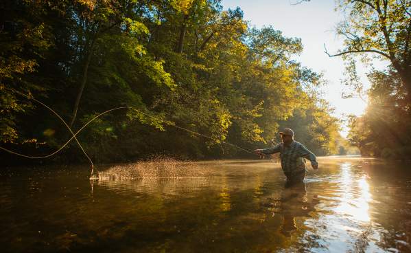 Man Fly-Fishing at Yellow Breeches Creek in Cumberland Valley