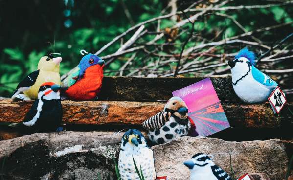 BMT Birdies Outdoors