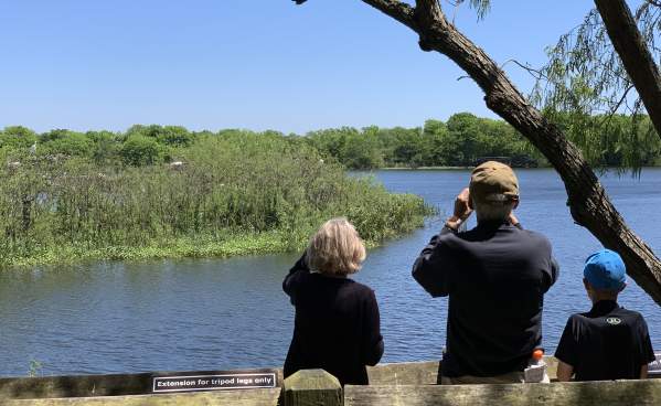 Family bird watching in Beaumont, TX