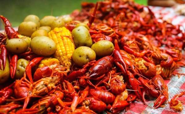Crawfish have been prepared with corn-on-the-cob and potatoes for a community-style crawfish feast.