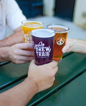 Three arms holding three beers and holding them together, cheering