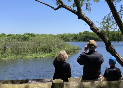 Family bird watching in Beaumont, TX