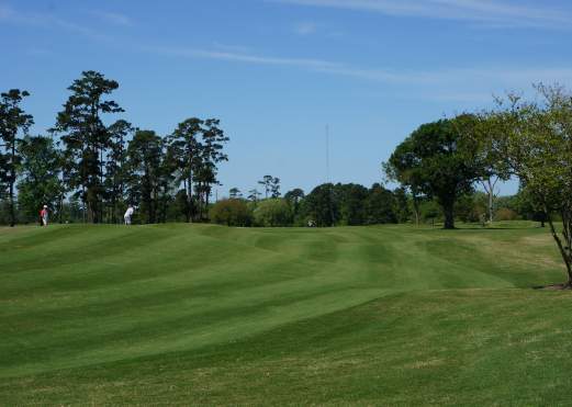 Golf course