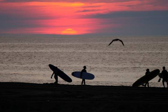 Surfing at Sunrise in Ocean City, MD