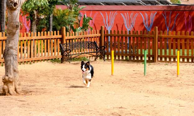 Pet friendly en Fuengirola