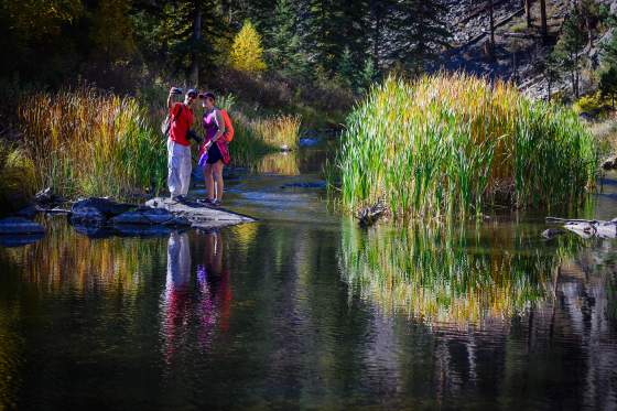 Your Guide to Fall Colors in the Black Hills and Badlands