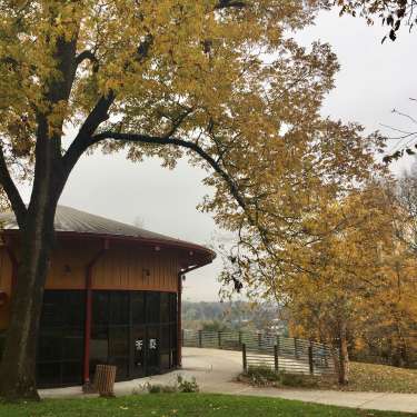 Fort Defiance Fall