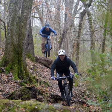 two bikers on a wooded trail