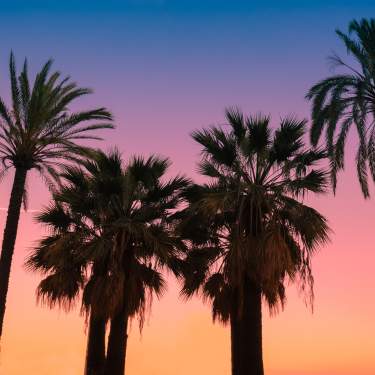 Live Music in Greater Palm Springs | Concerts & Festivals live-music-in-greater-palm-springs-concerts-festivals
