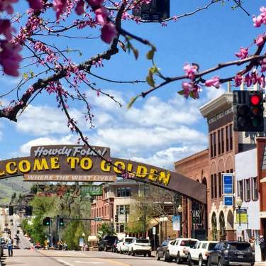 golden arch with flowers