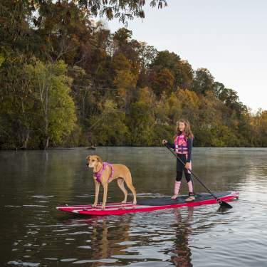 Visit_Knoxville_Barksville_0256