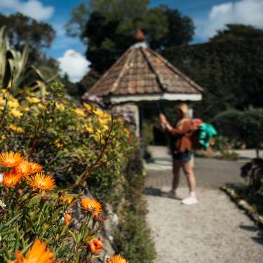 Aisles of flowers in front of the gazebo at Tresco Abbey Garden