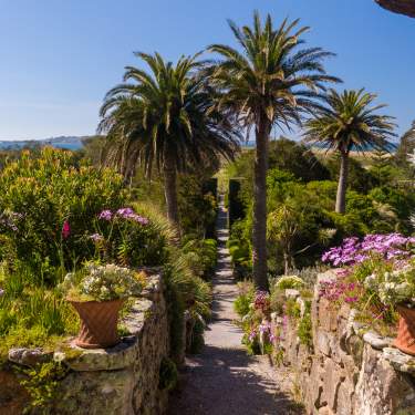 Tresco Abbey Garden