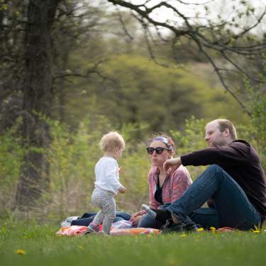 A couple and their child have a picnic in the park