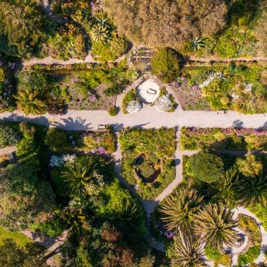 Aerial of Tresco Abbey Garden