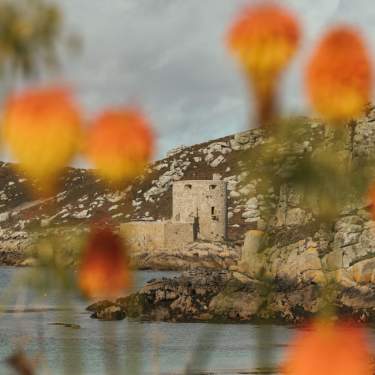 View of Cromwell Castle