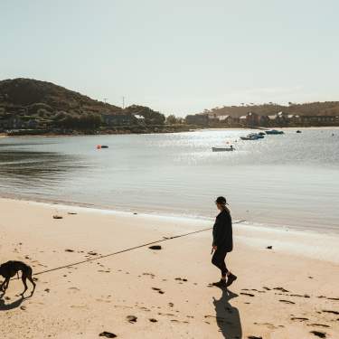 Woman walking along beach with dog