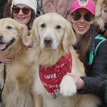 Save the Date for Goldens in Golden, Saturday, February 7, 2026