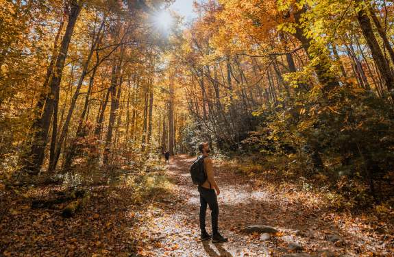 hiking in fall great smoky mountains