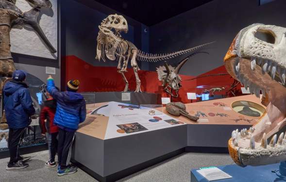 Game Day Breaks: How to Spend Your Downtime in Ann Arbor