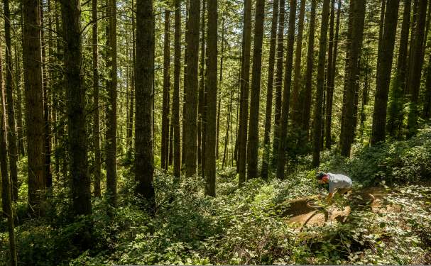 Mountain Biking