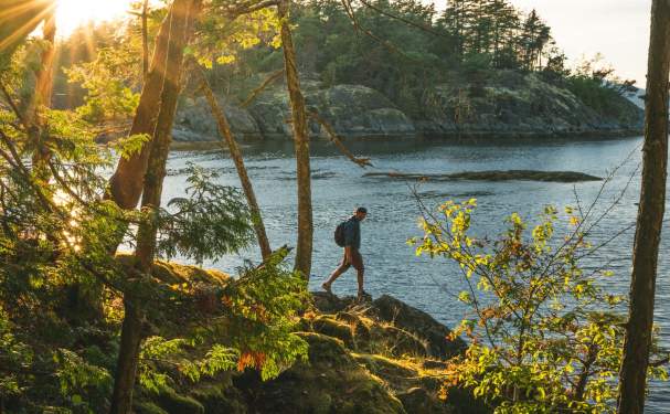 Sunlight gleams through the trees as a man walks along the rocky shore.