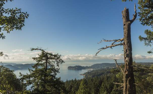 The viewpoint at Soames Hill, overlooking Gibsons.