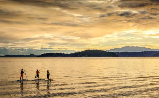 Three people on paddleboards enjoy the sunset.