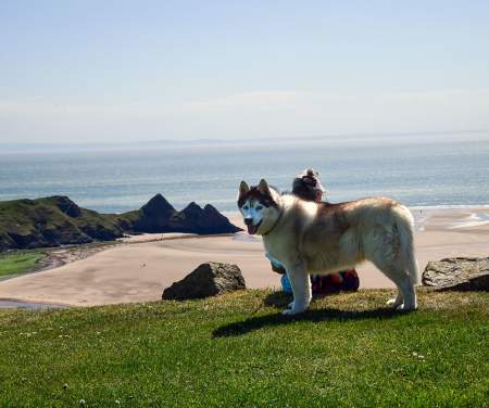 A dog and a woman with Three Cliffs bay in the background