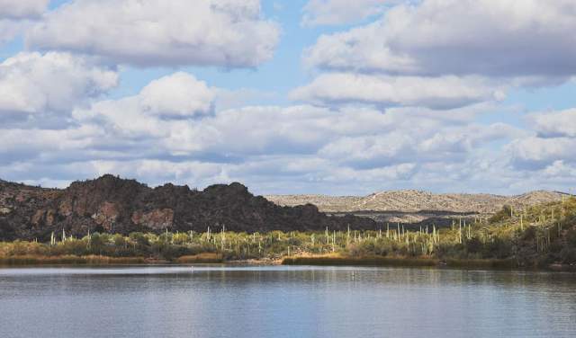 Saguaro Lake
