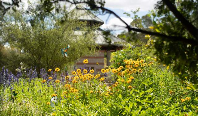 Boyce Thompson Arboretum, children's garden