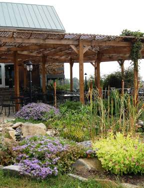 JT Hillsborough pond patio and plants