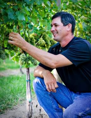 Wine grower inspecting grape vines at 8 Chains North